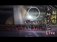 【微笑む顔】子供の霊が彷徨っていると言われる合所ダムのリアル【Mameshiba and ghost verification】