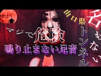 【心霊】霊が複数いる..事故多発の場所で愛犬の謎の行動...※イヤホン推奨【名もなきトンネル】#31