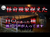 【心霊動画】ついに怪奇現象を捉えた飛〇〇り自〇があった橋～誰かの声が入ってしまった～