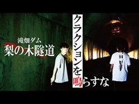 【 心霊 】 滝畑ダム/ 梨の木隧道 ・ クラクション を鳴らしたら霊が集まる 心霊トンネル #6