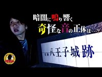 【心霊】暗闇に鳴り響く奇怪な音の正体は・・・？【八王子城跡】