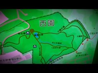 【心霊スポット】霊の目撃情報多数⁉平山城址公園「猿渡の池」を歩く（東京都 八王子市 日野市・多摩丘陵北部）