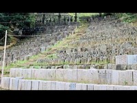 【心霊・廃墟スポット】4000基以上の凄まじい石仏群‼「ありがた山石仏群」(東京都 稲城市 矢野口の宗教施設・幹線道路の建設で消滅する可能性あり)