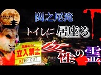 【心霊】※閲覧注意..車まで憑いてきた女性の霊..宮崎県最恐心霊スポット【関之尾滝】#46