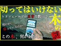 【石神井公園】心霊の噂を検証しにいったら水神社でトリフィールドメーターが異常数値に！【不思議動画】