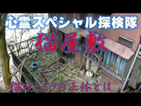 愛知県廃屋【猫屋敷】