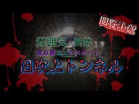 【心霊】東京で1番有名な心霊スポット！急におかしなことが起きた！？※japanese horror