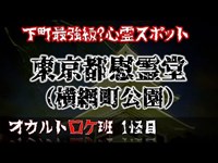 東京都慰霊堂(横網町公園)でほんとにちょっと変なもの映ったかも？　オカルトロケ班１怪目 ※実験的に冒頭26:10まで字幕付き #心霊スポット ? #慰霊の地