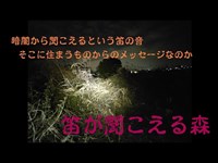 【心霊】【検証】笛が聞こえる森