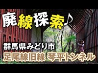 【廃線探索】旧線となった線路跡を歩く。琴平トンネルを目指しハイキングしてきました！（旧足尾線　琴平トンネル　群馬県みどり市）