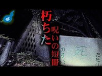 心霊スポットで恐怖の落とし物を見つけました…世界平和観音堂跡