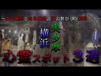 【心霊】最後の心スポの場所で「神奈川ジェイソン村」との繋がりが！？　※japanese horror