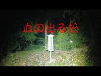 埼玉県心霊スポット　　血の出る松（滝の城址公園）