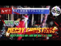 【閲覧注意】前代未聞！樹海でX'MAS。