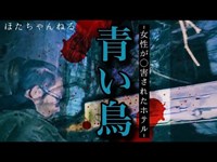 【心霊】殺人事件があったホテル～青い鳥～でヤバい物見つけました！