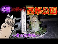 足音が聞こえる心霊スポット『西部公園』【夜の訪問編】