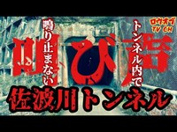 N.68【霊現象多発】トンネル内に鳴り響く叫び声は殉職者の声か、それとも…「佐波川トンネル」【心霊スポット】japanese horror