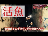 【心霊】活魚・関東No.1と言われたスポット　【Japanese Horror】Psychic spot.