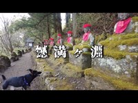 【閲覧歓迎】日光の憾満ヶ淵【犬と心霊スポット巡り】