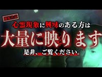 【心霊】口裂け女発祥の地『13号トンネル』で1人検証したら、、無数の黒い影が…【閲覧注意】