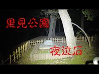 千葉県心霊スポット　里見公園　夜泣石