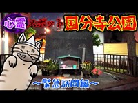 終電逃したから心霊スポット行くよ『国分寺公園』【緊急訪問編】