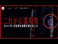 【指…】これ誰？究極の心霊現象/白高大神