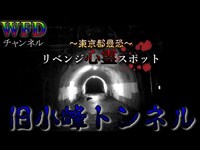 【心霊】再びあの東京最恐のトンネルに行ってみたらやっぱりやばい場所だった。 ※Japanese Horror