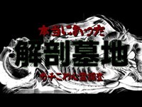 【超恐怖】とある心霊スポットで起きた本当の恐怖