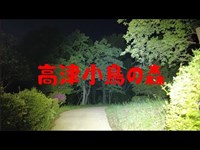 千葉県心霊スポット　　高津小鳥の森【八千代小鳥の森公園】