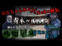 【コラボ】青木ヶ原樹海～全てを捨てた男性の行方…