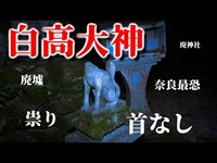 【廃神社探索】白高大神の祟り？：奈良最恐心霊スポットで怪奇酒＆スピリットボックスした結果！