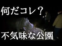 【和歌山森林公園・前編】怪奇！不気味な動物の像がいる公園で心霊現象を調べてみた【ゴーストハント#3】