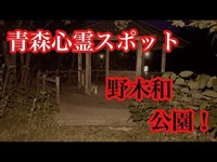 【青森心霊スポット】野木和公園を検証！