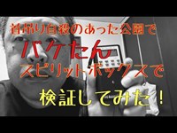 【心霊】心霊スポットの公園でバケたんとスピリットボックスを使って検証してみた！