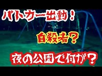 【心霊】過去に自〇があって監視カメラが付いている公園を検証！