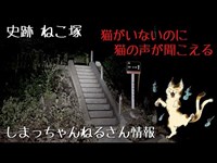 神奈川県 史跡 ねこ塚 心霊