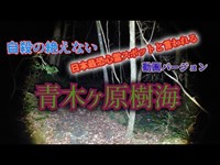 富士　青木ヶ原樹海　その３「クル単独動画編」（山梨）【心霊スポット検証散歩】イケメンジョー同行企画