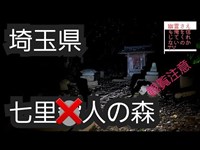 七里○人の森　スピリットボックス　心霊スポット　埼玉県