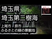 埼玉第二樹海　上尾市原市ふるさとの緑の景観地　心霊スポット　スピリットボックス