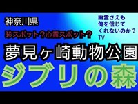 夢見ヶ崎動物公園　珍スポ　ナイトサファリ　神奈川県