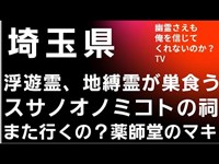 スサノオノミコトの祠　薬師堂のマキ　秋ヶ瀬公園　心霊スポット