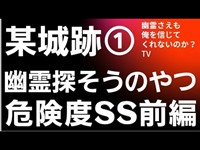 某城跡　幽霊探そうのやつ　心霊スポット