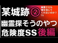 後編　②　危険度ss　某城跡　心霊スポット