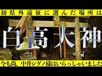 【白高大神】有名な廃神社に初潜入　夜探索