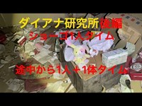 ダイアナ研究所後編〜1人タイム〜