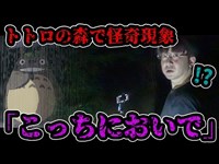 【心霊】八国山で肝試し 8:42これはヤバイ‼【閲覧注意/心霊スポット/都市伝説/となりのトトロ/3DCG】