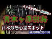 富士　青木ヶ原樹海　その1「コウモリ穴～」（山梨）【心霊スポット検証散歩生配信】イケメンジョー同行