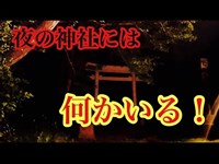 夜の神社には、何かいる！