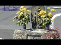 心霊マニア 三ツ木交差点（東京都）